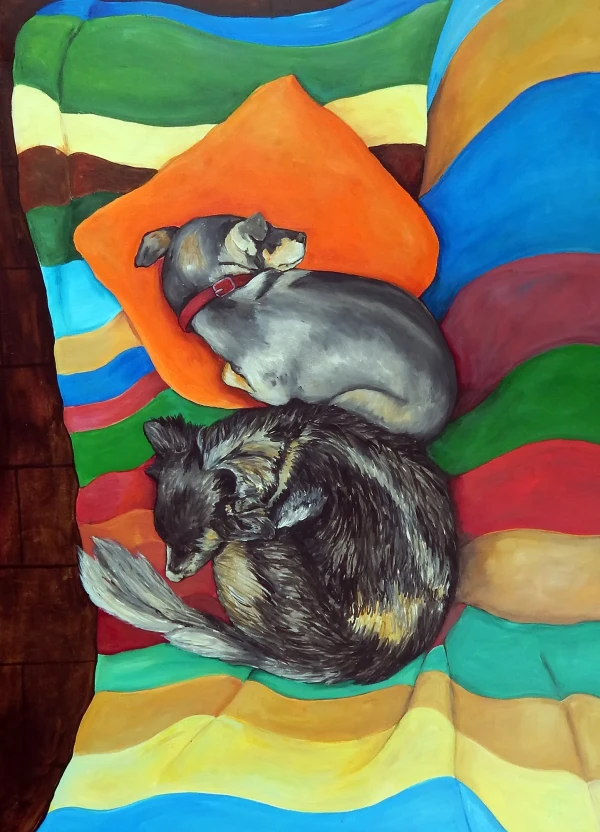 My two dogs lying on a colorful striped sofa