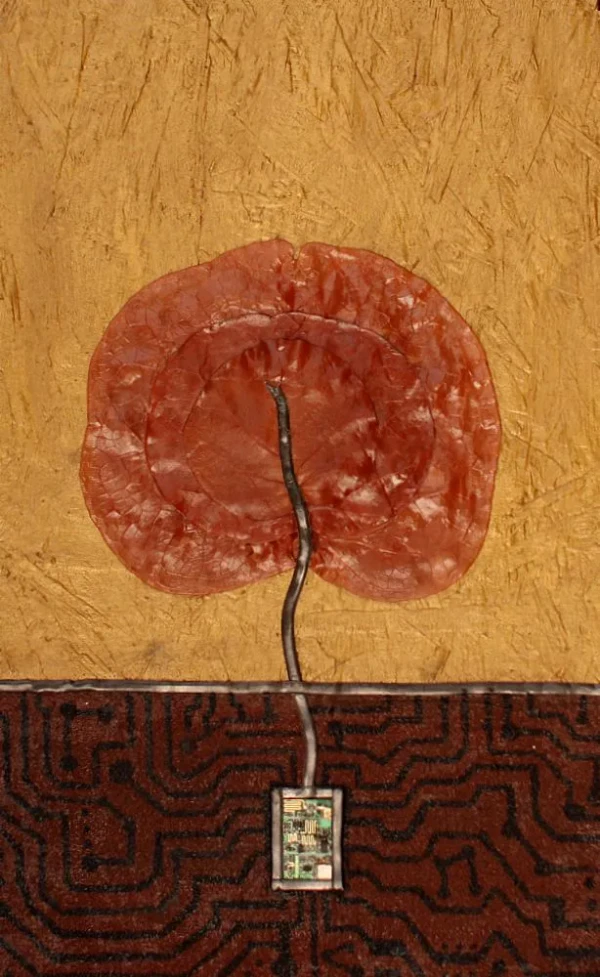 A golden background with a tin horizon line. In the center, overlapping real sea grape leaves grow from an electronic chip.