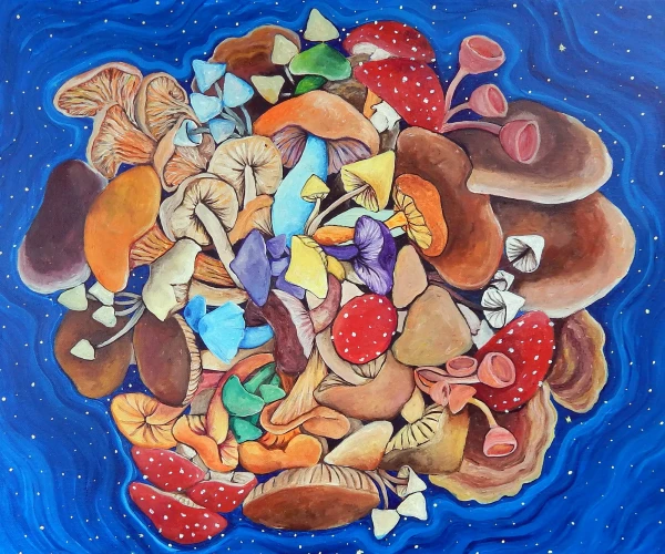 A diversity of fungi intertwined in a circular formation