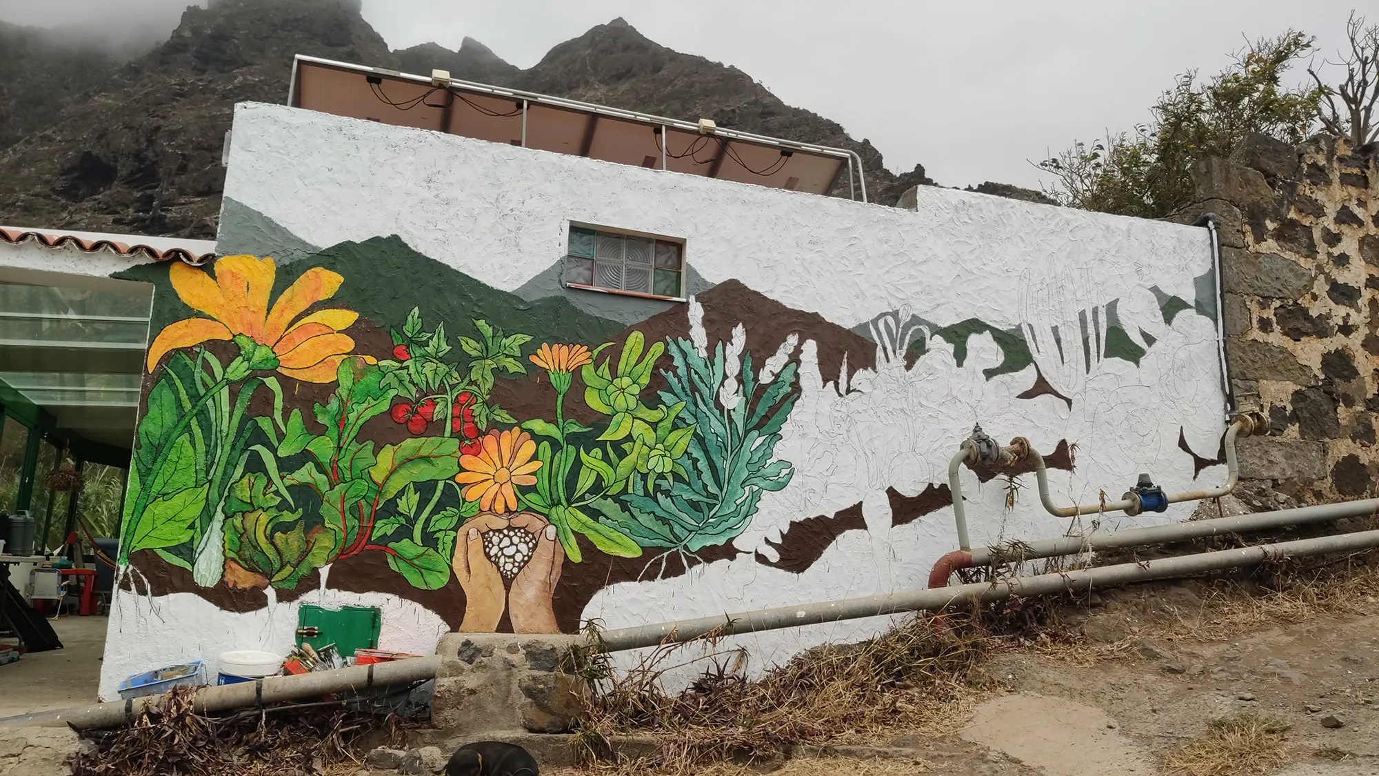 mural de mi casa